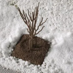 70951 Auhagen Junge Bäume Winter